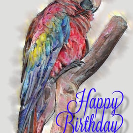 Happy Birthday Macaw Parrot Card A5