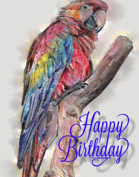 Happy Birthday Macaw Parrot Card A5
