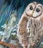 Owl Art Print - Tawny owl bird art print - Image 5
