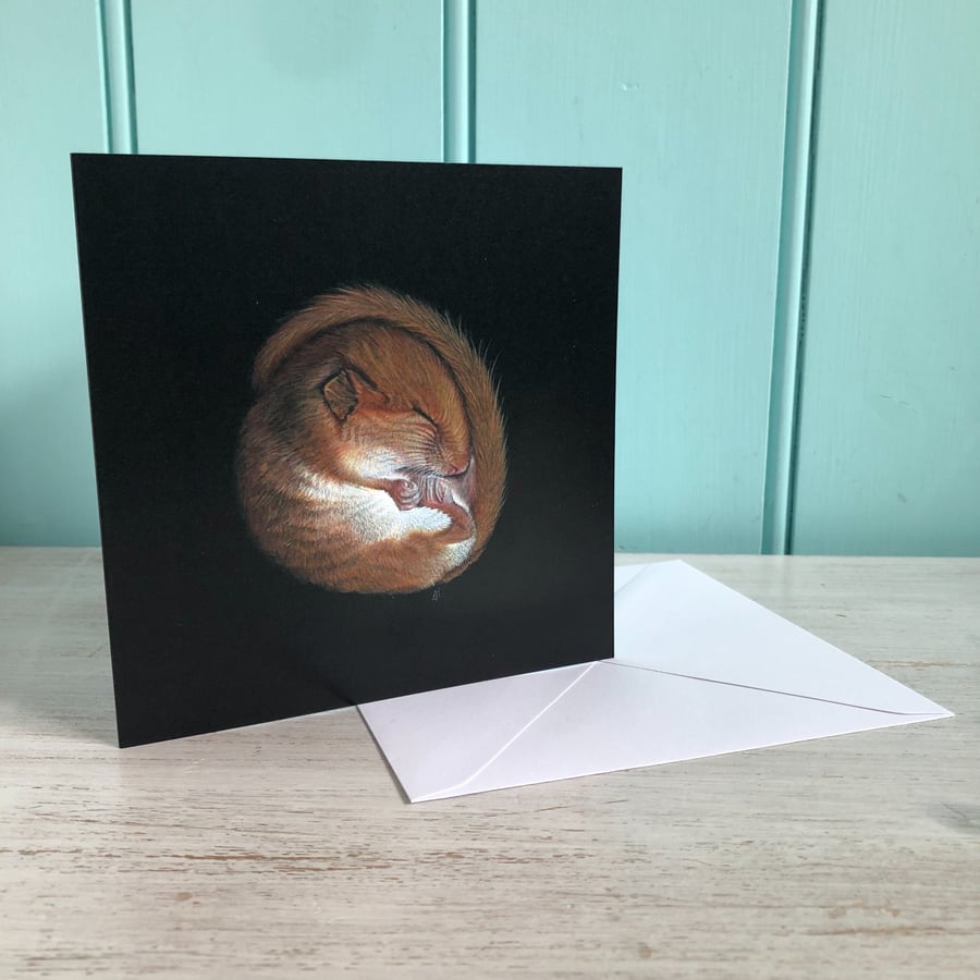 'Snuggle Up', sleeping dormouse, 14.5cm square wildlife art greetings card.