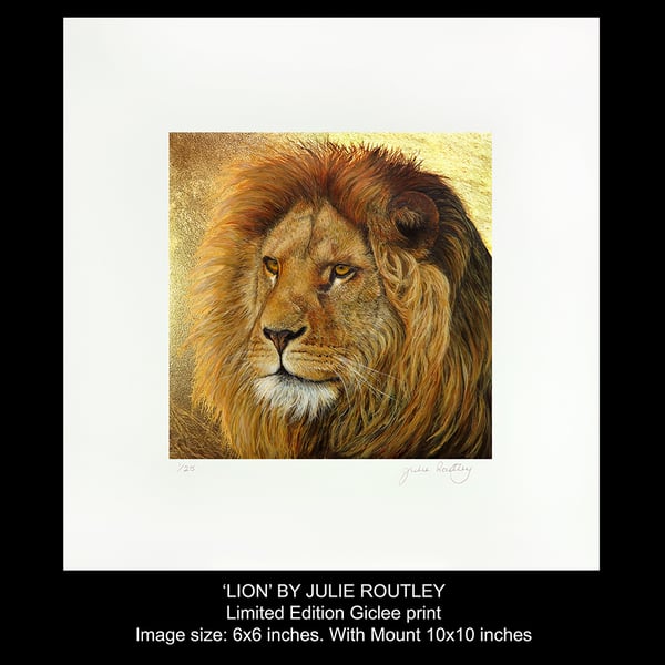'LION' Limited Edition Print By Julie Routley