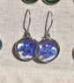 Blue Flower Resin Earrings, 304 Stainless Steel Hooks, Made in Scotland