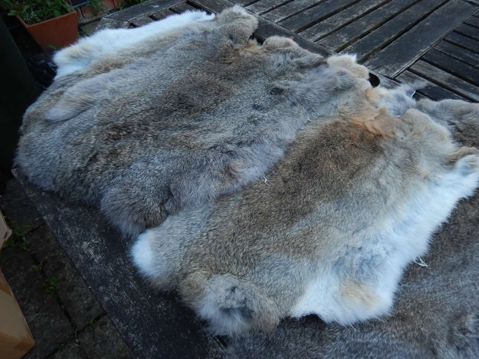 English Rabbit Fur