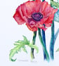 Red Poppy Original Flower Watercolour Painting Contemporary Botanical Art - Image 7