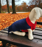 Hand knitted two tone dog jumper