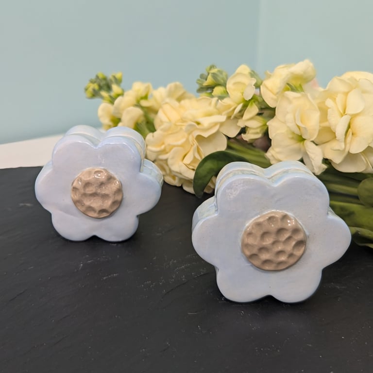Pair of ceramic pastel blue flower photo stands