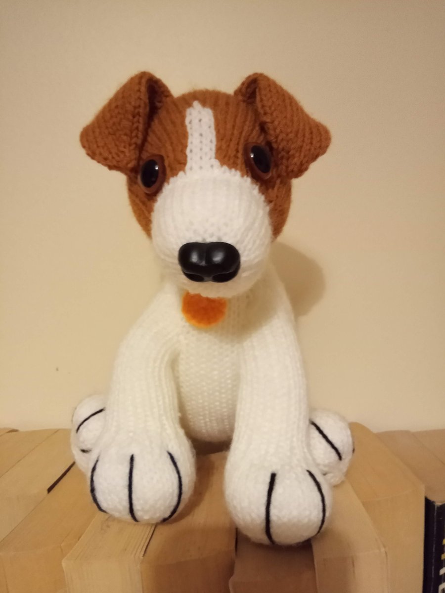 Jack Russell Puppy