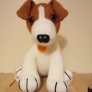 Jack Russell Puppy
