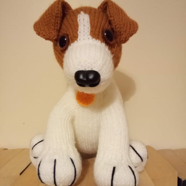 Jack Russell Puppy