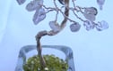 Gemstone Trees