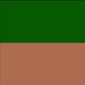 Copper and Green