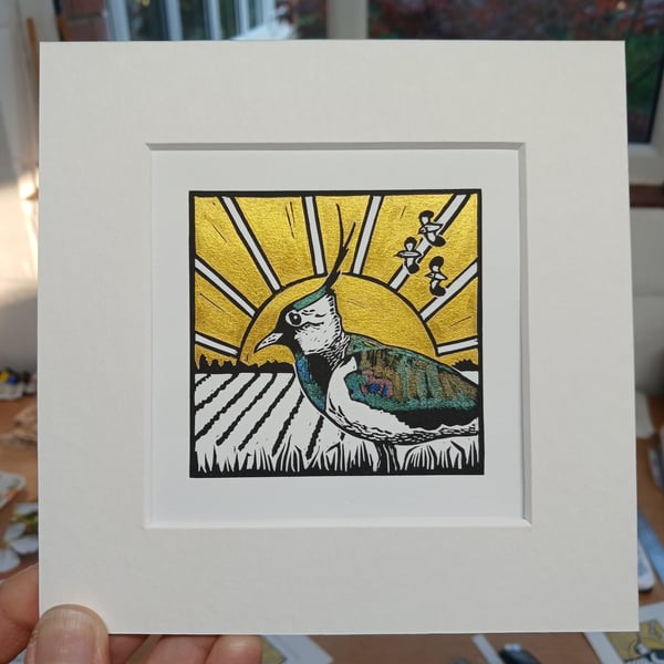 Peewit - original, hand painted, mounted linocut print of a lapwing at sunset