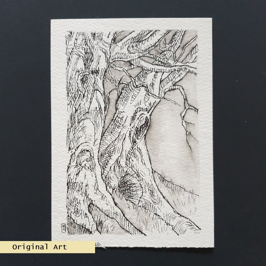 Tree study no 2, original pen and ink drawing, tree art, letterbox art gift