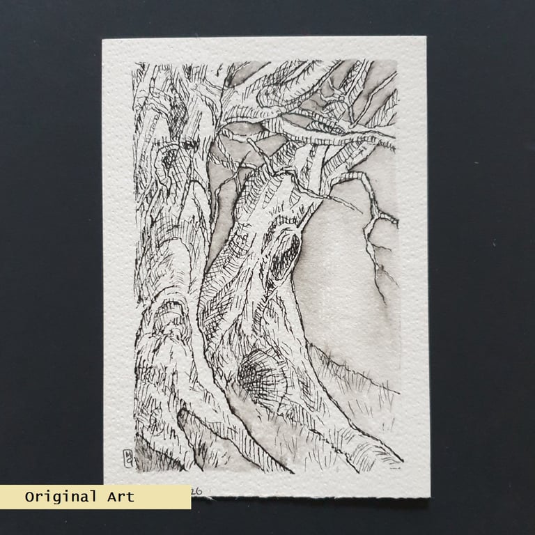 Tree study no 2, original pen and ink drawing, tree art, letterbox art gift