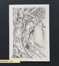 Tree study no 2, original pen and ink drawing, tree art, letterbox art gift