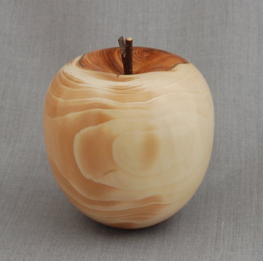 Beautiful Apple in Yew
