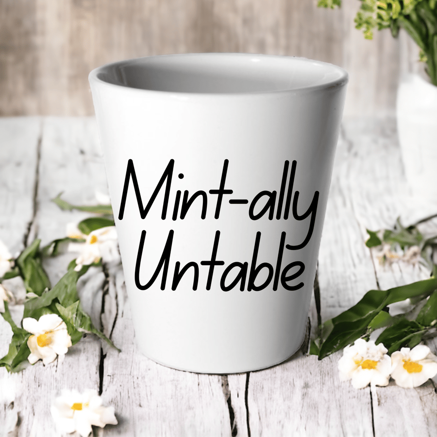 Mint Ally Untable -Succulent Cactus Flower Pot 