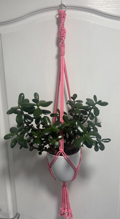 Macrame hanging plant holder