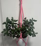 Macrame hanging plant holder