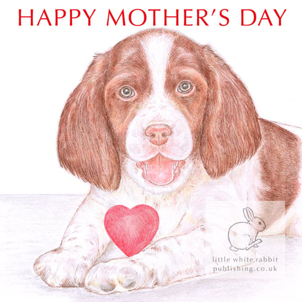 Ginny the Springer Spaniel - Mother's Day Card