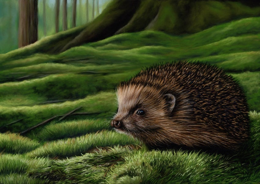 Pastel artwork of a Hedgehog