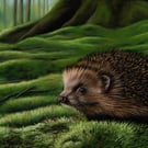 Pastel artwork of a Hedgehog