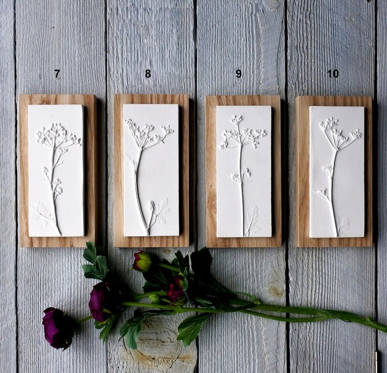 Cow Parsley Mini Plaster Cast Wall Plaques On Wood