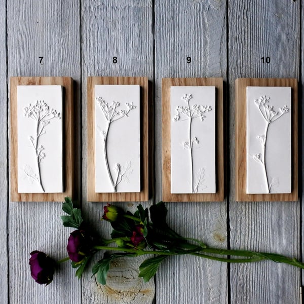 Cow Parsley Mini Plaster Cast Wall Plaques On Wood