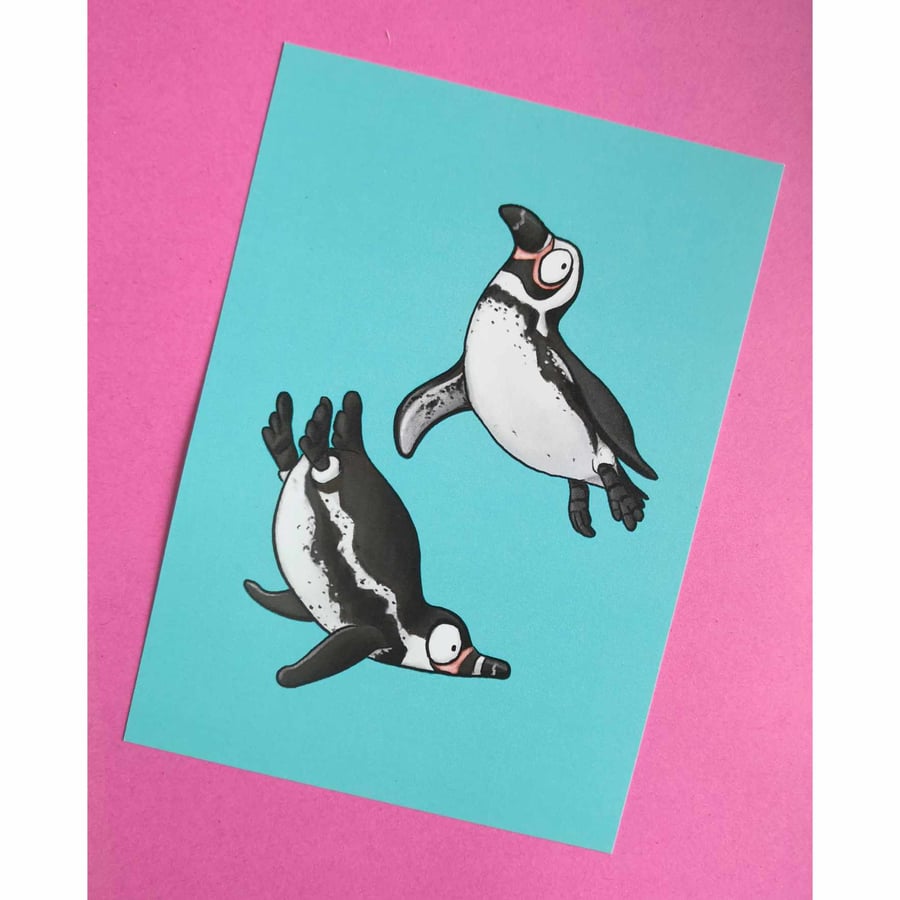 Humboldt penguins art print