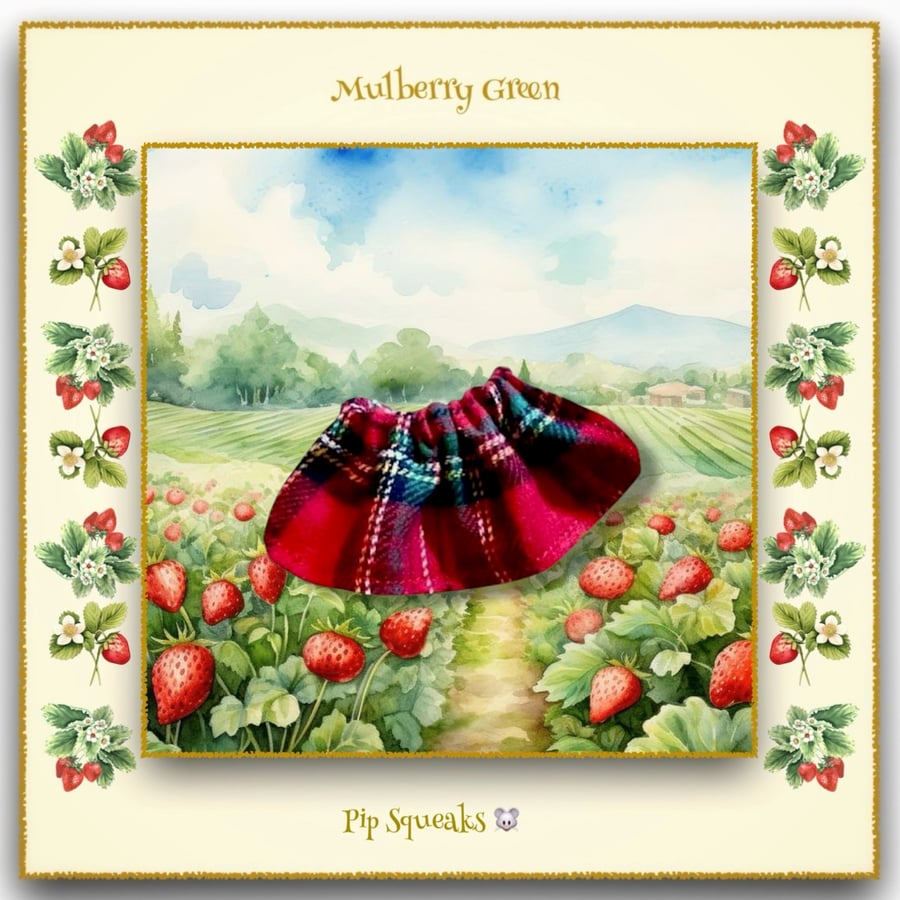 Pip Squeaks Red Tartan Skirt