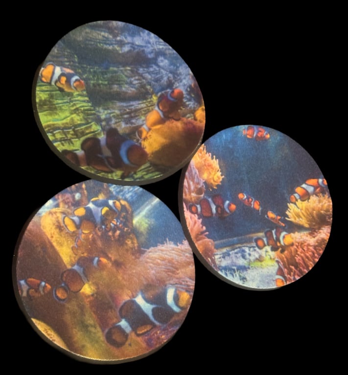 Set of 3 Handmade Clownfish Neoprene Coasters – Colourful Ocean Gift