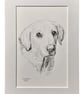 Custom A6 Pet Portrait DRAWING - Image 2