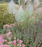 Three Glass Garden Raindrops