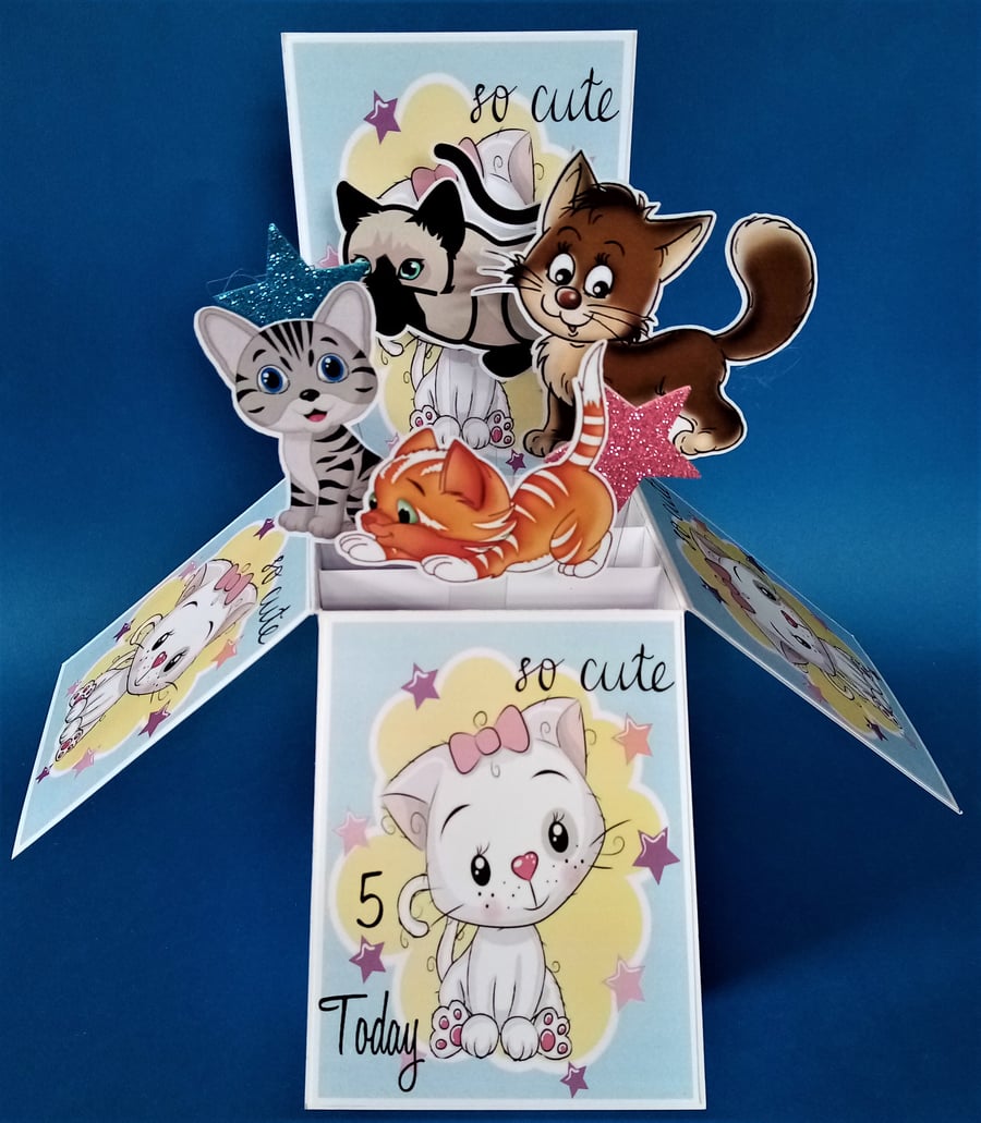 Girls 5th Birthday Card with Cats