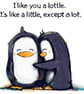  I Like You A Lottle Fridge Magnet - Image 2