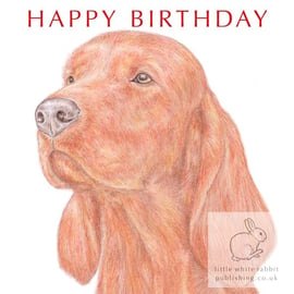 Woody the Irish (Red) Setter - Birthday Card