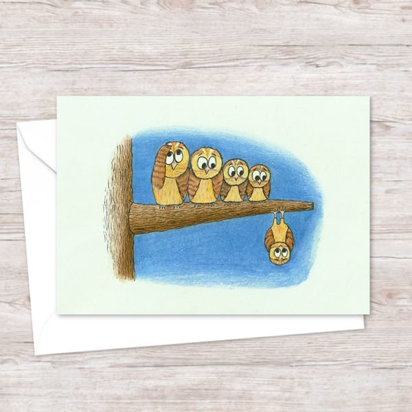 Night Owls Greetings Card: Illustrated Birthday Card for an Animal Lover (206)