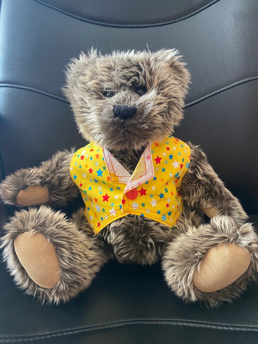 Teddy Bear Stars Waistcoat