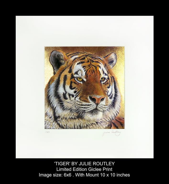 'TIGER' Limited Edition Print