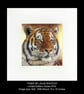 'TIGER' Limited Edition Print - Image 1