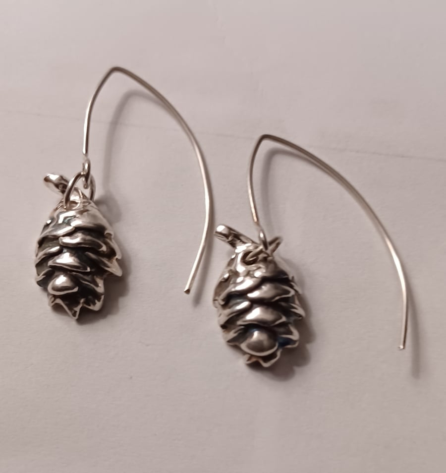 Silver pine cones