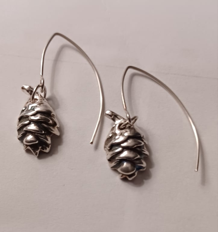 Silver pine cones