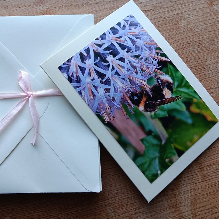 Bee on Flower Large Photographic Card 7" x 5" Blank