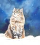 Custom Order Unframed Painting  - Image 1
