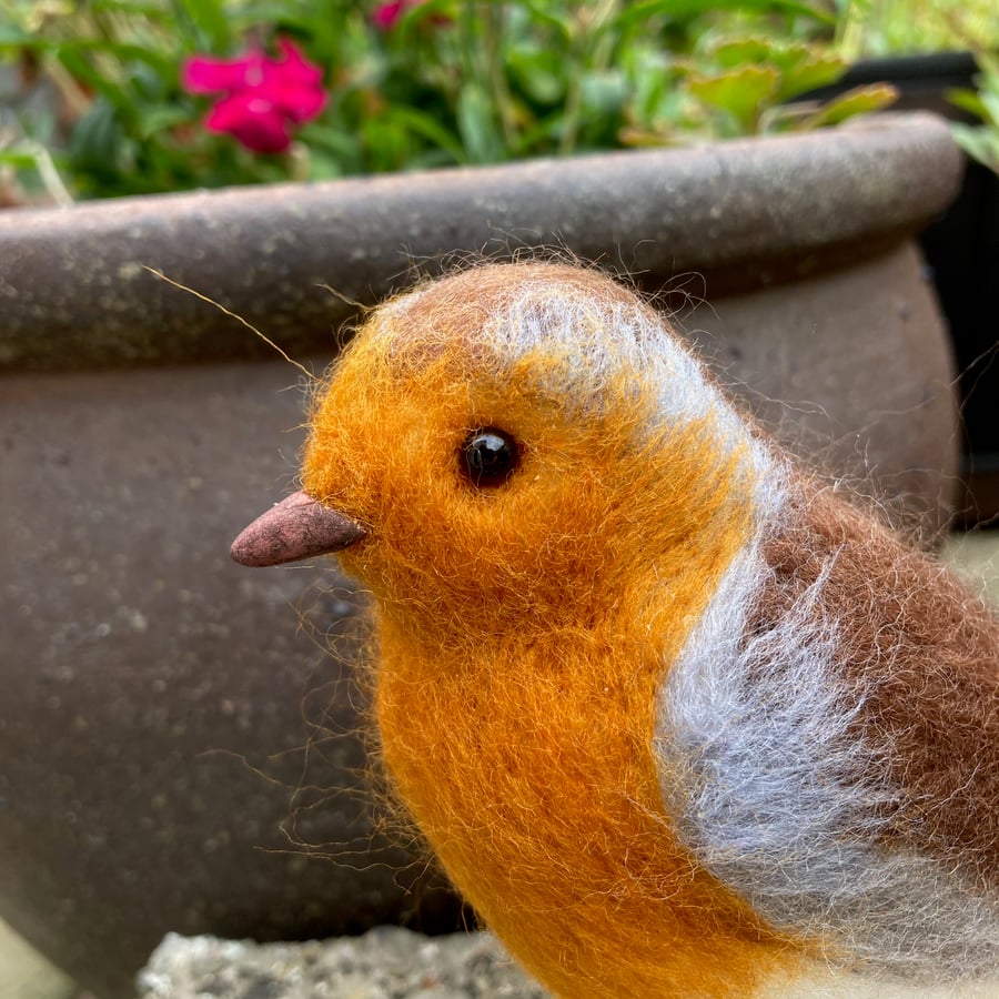 Needle felted robin redbreast, woollen sculpture - british garden birds