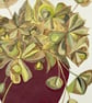 Art plant original gouache painting  - Image 4