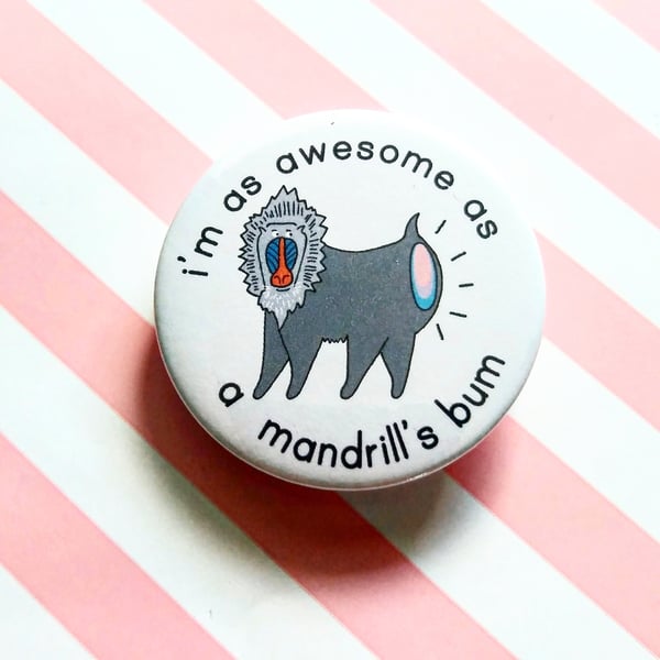 badge - mandrill's bum - 45mm pin badge - handmade mandrill badge