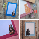 Cats Gift Notes