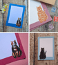 Cats Gift Notes