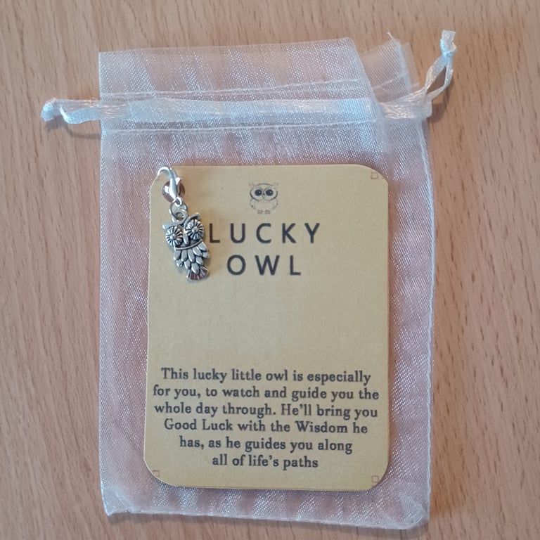 Lucky Owl clip on charm and poem card